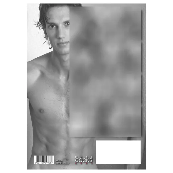 Real Cocks 2027 - calendrier mural érotique (1 pièce)