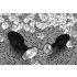 You2Toys - Diamond - plug anal silicone (petit)