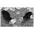 You2Toys - Diamond - plug anal en silicone (petit)