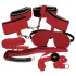 Bad Kitty - kit BDSM - rouge
