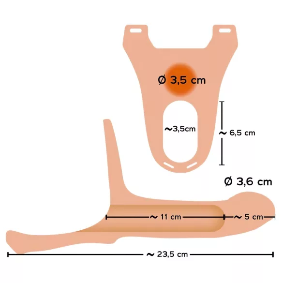 You2Toys - gode ceinture creux - taille M - couleur chair