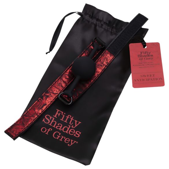 Fifty Shades of Grey - bâillon boule - cuir noir et rouge