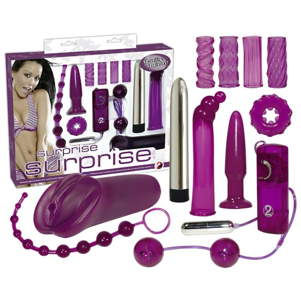 You2Toys - Plaisirs érotiques - coffret vibromasseur (12 pièces)