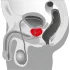 You2Toys - masseur prostate rotatif vibrant - silicone noir