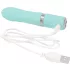 Pillow Talk Flirty - vibromasseur rechargeable (turquoise)
