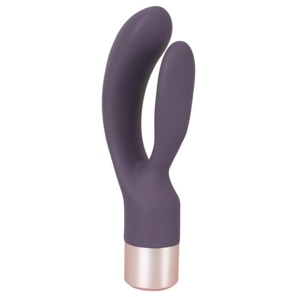 You2Toys Double Élégant - Vibromasseur Rechargeable à Bras de Clitoris (Violet)