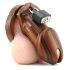 CB-6000 - cage de luxe avec cadenas (bois)