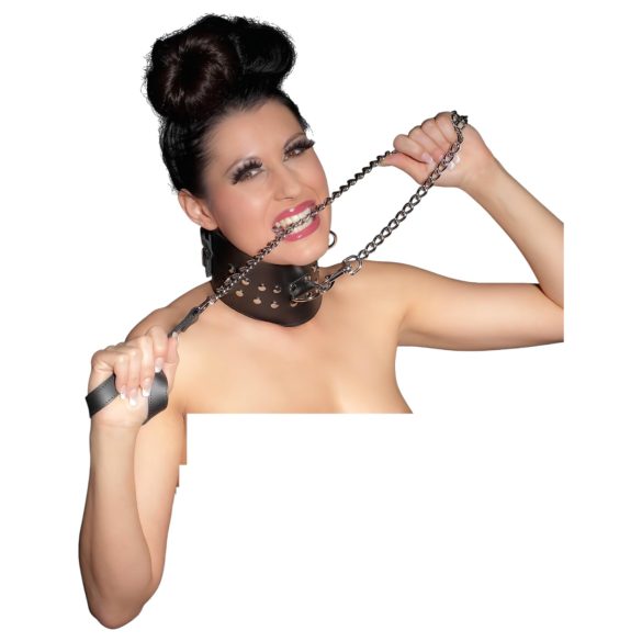 ZADO - laisse métallique - argent