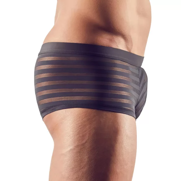 Svenjoyment - Boxer transparent à rayures (noir) - L