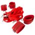Bad Kitty - Kit de bondage en simili-cuir rouge