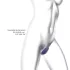 Love to Love Wonderlover - Vibrateur G-spot et clitoris (violet foncé)