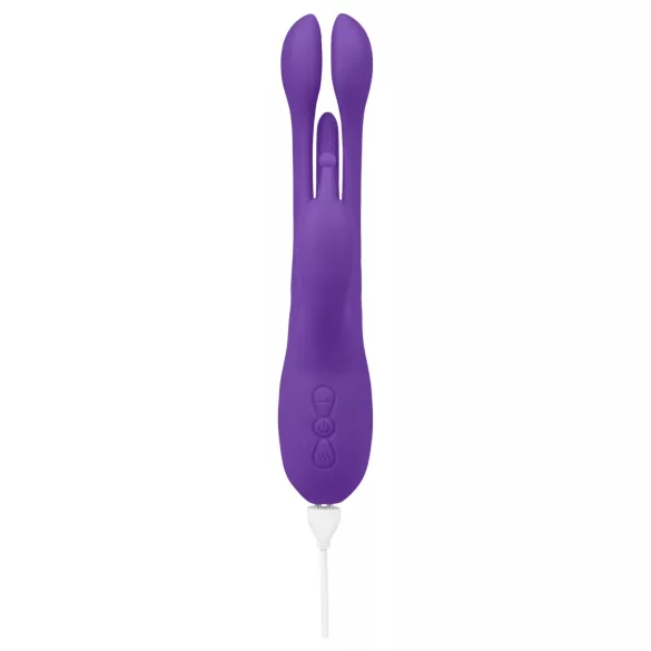 EIS Double Trouble - vibromasseur rabbit stimulateur langue mobile - violet