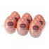 Tenga Œuf Gear Plus - Masturbateur (6 pièces)