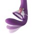 G-pont & clito vibro 4 moteurs (violet)