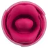 You2Toys Oral Fun - vibromasseur stimulateur de clitoris à langue (rose)