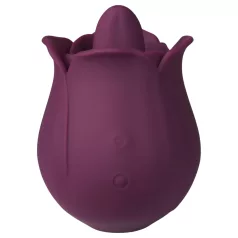   Amaysin - stimulateur clitoridien en forme de rose avec langue (violet)