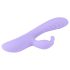 "Lapin Hop & Buzz Desirel - Vibromasseur avec bras clitoridien (violet)"