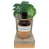 Huile bronzante bio Coconutoil (80ml)