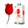 Pretty Love Rose Lover - 2en1 stimulateur langue (rouge)