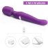 Tracy's Dog Wand - vibrant massager violet