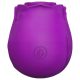 Tracy's Dog Rose - Stimulateur à air imperméable (violet)