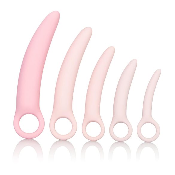 CalExotics Inspire - Ensemble dilatateur vaginal santé (rose)