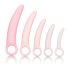 CalExotics Inspire - Ensemble dilatateur vaginal santé (rose)