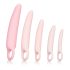 CalExotics Inspire - Ensemble dilatateur vaginal santé (rose)