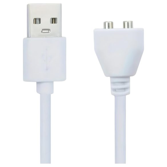Câble USB magnétique Lovense (blanc)