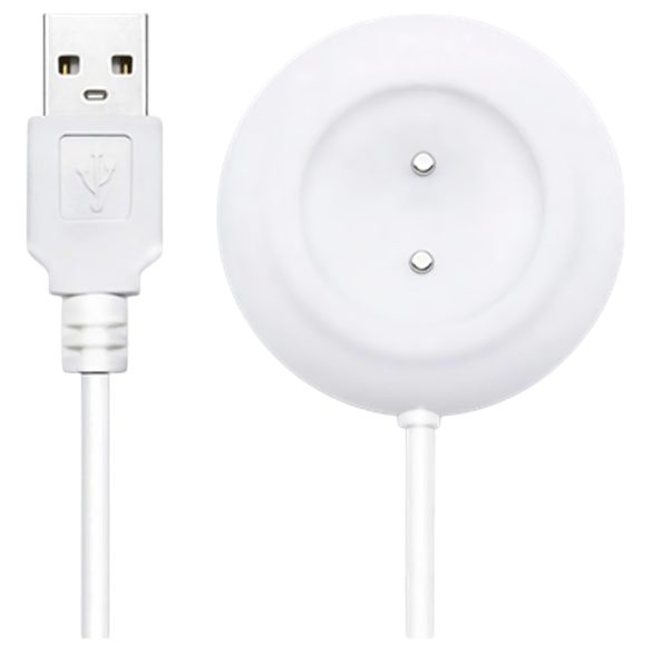 Câble USB magnétique Lovense Ambi (blanc)
