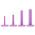 Blush Wellness – Kit d’expanders vaginaux (violet)