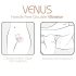 Adrien Lastic Venus - Vibromasseur Point G et Clitoridien (rose)