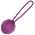 Engily Ross Leigh - Boule de geisha en silicone (violet)