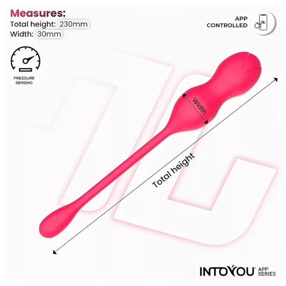 INTOYOU - Boules de Kegel vibrantes connectées - duo - rose