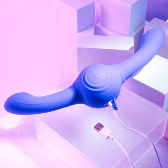 Evolved - vibromasseur double vibrant rechargeable - silicone violet