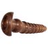 Ensemble de Dildos Anaux Évolués - Bois Torsadé