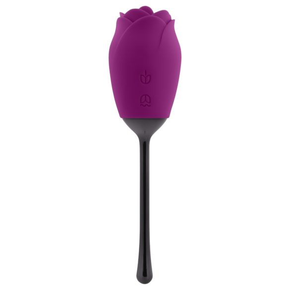 Playboy - rose vibreur étanche à langue rechargeable (violet)