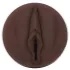 Fleshlight Nicole Kitt Purrrrrfection - masturbateur - vagin