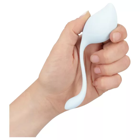 Loveline Pelvic Stem - boules de geisha - set de 5 pièces