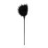 Easytoys - Plume Chatouilleuse Longue (Noir)