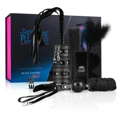 Coffret BDSM avancé 14 pièces (noir) Coffret BDSM avancé 14 pièces (noir)