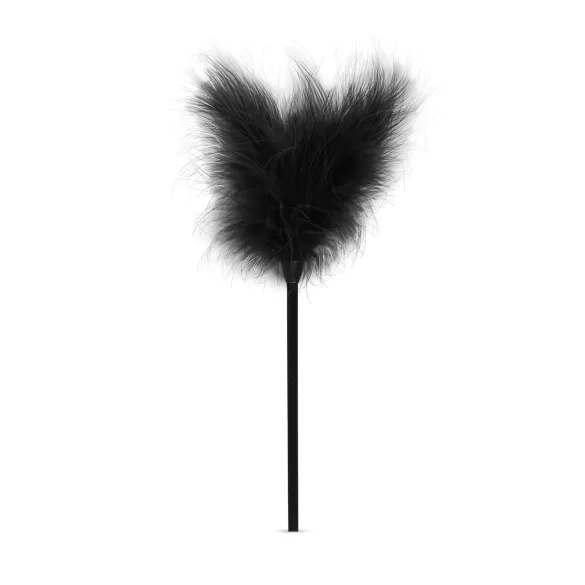 Secret Pleasure Chest - coffret BDSM avancé - 14 pièces - noir