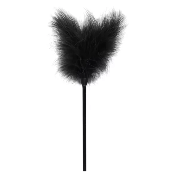 Coffret Secret Pleasure - kit BDSM avancé - 14 pièces (noir)