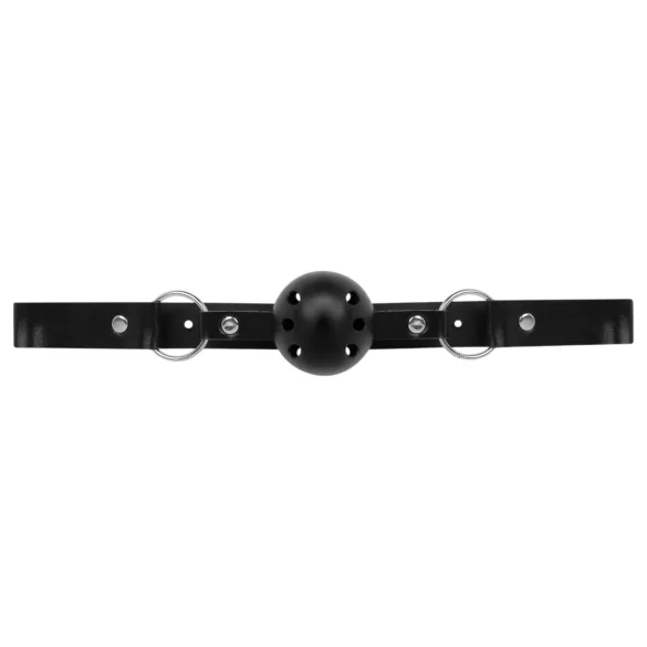 Coffret Secret Pleasure - kit BDSM avancé - 14 pièces (noir)