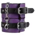Coffret Secret Pleasure - kit BDSM avancé (14 pièces)