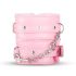 Coffret Passion Secret - kit BDSM avancé - 14 pièces (rose)