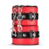 Coffre Secret - set BDSM avancé 10 pièces (rouge)