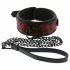 Dreamtoys Blaze - collier et laisse (rouge)