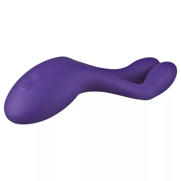 Teazers Partner Multifun - vibromasseur pour couple (violet)