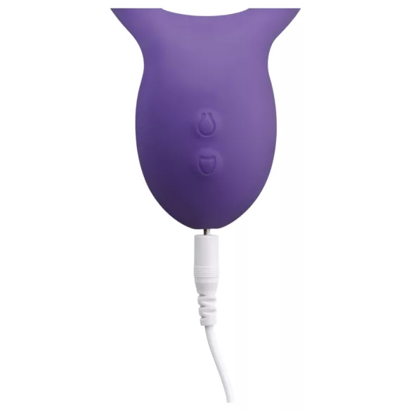 Teazers Partner Multifun - vibromasseur pour couple (violet)
